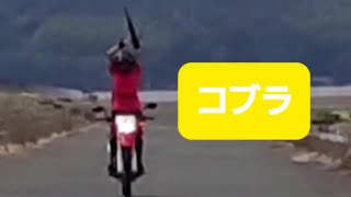 【バイク変身やってみた 80】スペース コブラ