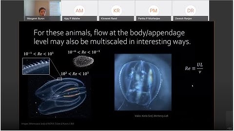 Frontiers in Mechanical Engineering and Sciences: Week 10- Thermal Systems