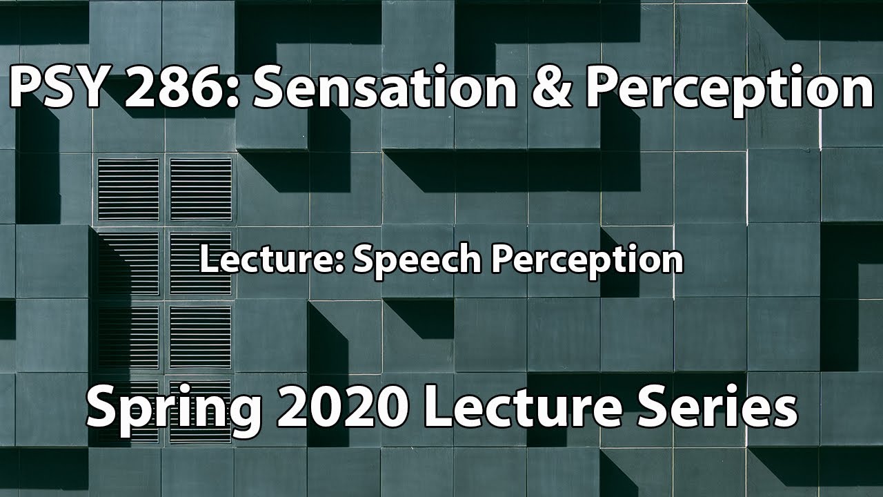 Speech Perception || Sensation & Perception (PSY 286)