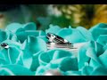 Video by:
AD Media
https://www.ad-media.uk/
Contact: info@ad-media.uk
Instagram - https://www.instagram.com/visualsbyaryan
https://www.instagram.com/admediavideos/