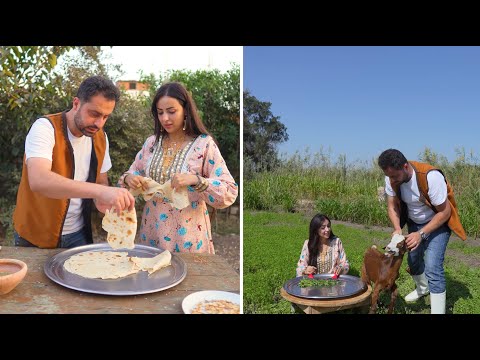 أطيب فتة غزاوية مصرية في الشرقية