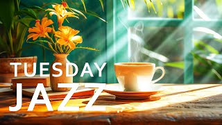 Tuesday Morning Jazz - Calm Workday Kickoff Relaxing Jazz & Gentle Bossa Nova Melodies