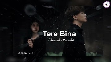 TERE BINA | Slowed +Reverb | Lofi Song #lofi #trending #music
