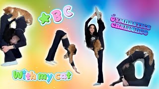 Details ABC gymnastics challenge with my cat!  Guide