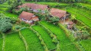 MANTAP SUHU‼SUASANA PERKAMPUNGAN DI SUNDA BIKIN BETAH DI RUMAH, BIKIN SENSASI TIADA DUANYA