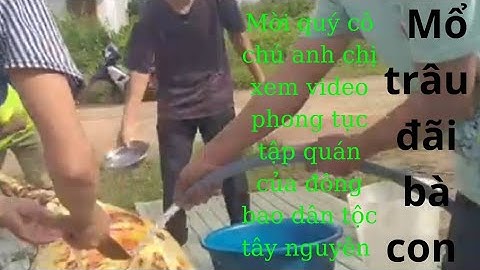 lễ hội đâm trâu của đông bao dân tộc tây nguyên khu vực 82