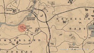 Red Dead Redemption 2 Map Locations For EVERYTHING to 100% The Game