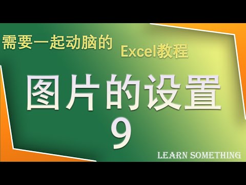 Excel 图片的大小 色彩 模糊都能调整！接近于半个PS的功能99%的人都不知道 【Learn Somethin Excel教程 9】