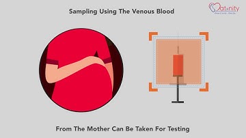 Non-Invasive Prenatal Test – Test & Technology (English) | Early fetal health screening test