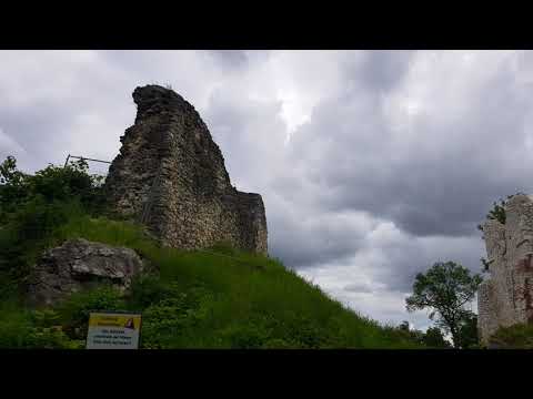 Видео: Бруссель нь хулд загасны филе, хушга бүхий нахиалдаг