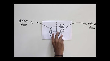 Alternate Access Mapping (AAM) - SharePoint - Explained in less than 5 minutes - Lessthan5min.com