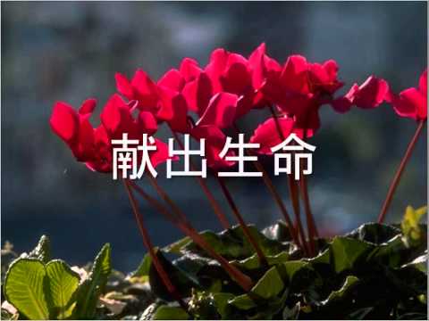 风和爱 是谁