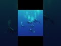24 May 2026TitleThe Hidden World Beneath the Ocean | Secrets of the Deep Sea