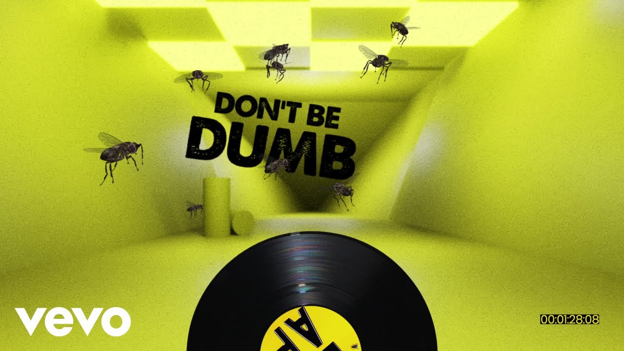 Dizzee Rascal, Ocean Wisdom - Don't Be Dumb (Lyric Video) - YouTube Music