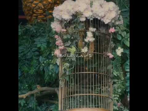 يقولون من سار علي الدرب وصل لكـن اكسبلور اشتراك Flowers بدون موسيقى لايك اشتراك ترند 