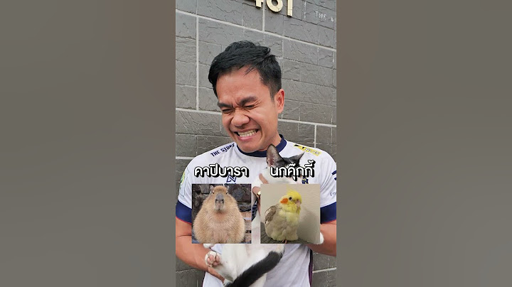 สัตว์เลี้ยงน่ารักที่ผมชอบมากที่สุด🐖🦑🐤  #สัตว์เลี้ยง #สัตว์เลี้ยงน่ารัก  #บี้เดอะสกา  #bietheska