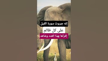 جبروت سورة الفيل على كل ظالم ومعتدي من الإنس والجن