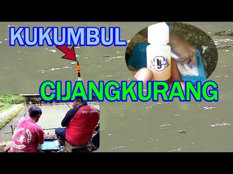 lomba-mancing-ikan-mas-harian-|-umpan-ini-sangat-di-andalkan