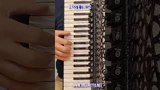 Shorts - PASS'E TRESE - Passu e Trese - Fisarmonica Superfacile -