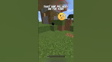 The Last Pillager On A Raid! 😂