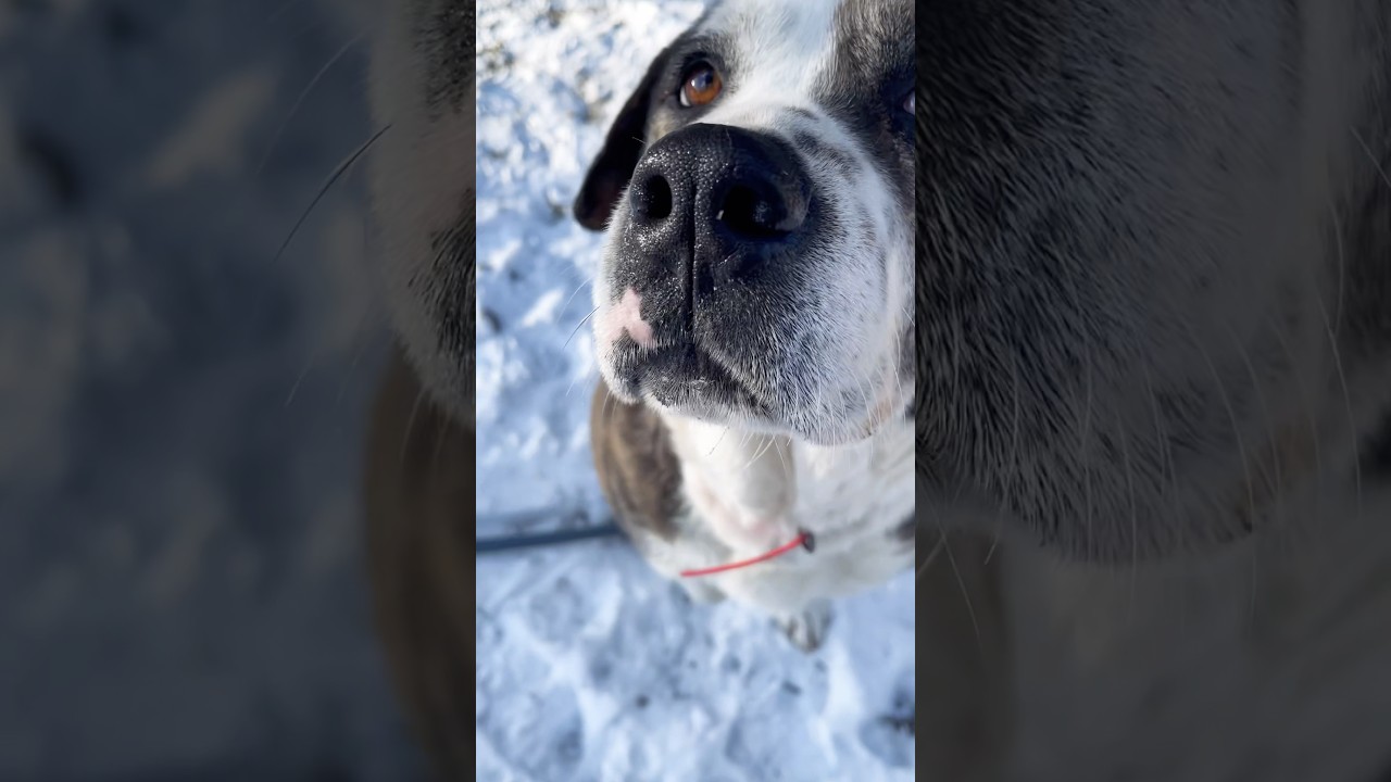 Did she make you smile?🥹❤️ 