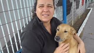 VEJAM O QUE O CÃO FEZ AO SE APROXIMAR DESTA MULHER, SURPREENDENTE