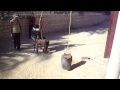 ميشو العامرية شارع السفن 1 ميشو العامرية شارع السفن 1