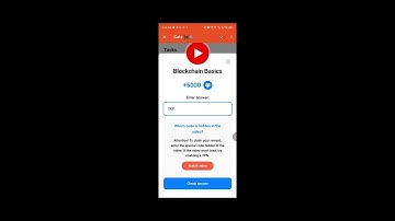 Blockchain Basics videos cats YouTube Video code | Cats Video code Today | Cats Video code