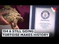 World’s Oldest Tortoise Leads Guinness ICONs List Alongside Global Record Holders | VERTEX