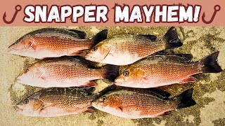 QUICK LIMIT ON SNAPPER! (ACTION EVERY CAST) 🔥🔥🔥