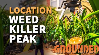 Weed Killer Peak Grounded Location
