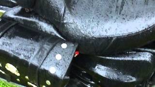 DSCF1721