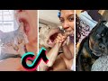 Dog Crunching TikTok Compilation 😬😂