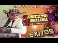 Aniceto molina 30 exitos inmortales  cumbias mix para bailar