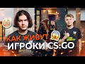 Как живут CS:GO-игроки Virtus.pro