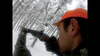 Tracking a Mountain Deer in Maine!!!!  |  Hermit the Buck  |  Beyond the Boundaries