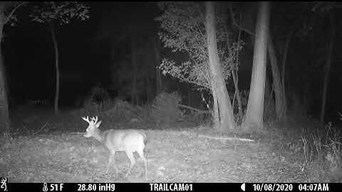 Browning Defender Wireless Pro Scout (video sent to phone)