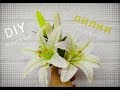 ЛИЛИЯ из ГОФРИРОВАННОЙ БУМАГИ. цветы из бумаги. Corrugated paper lilies. DIY Alesya Gor