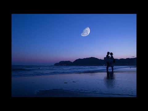 Moonlit Dreams