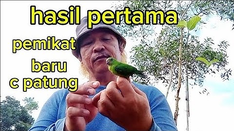 serindit port keras,tumpas tompinai..