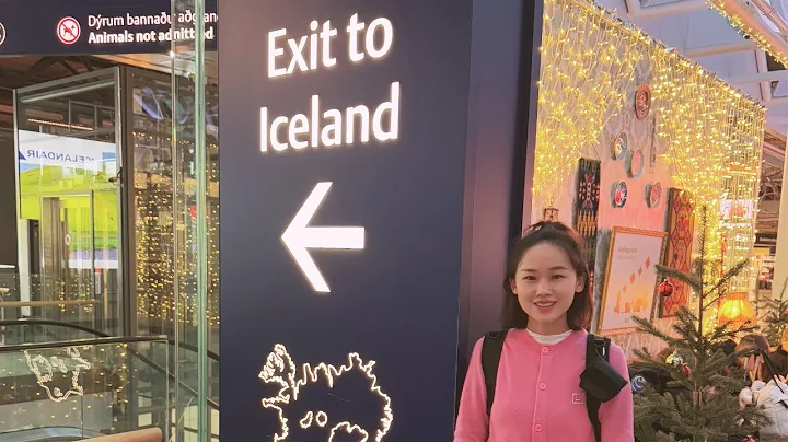 Iceland Now: Plane Wreck, Black Sand Beach & Wild Horses | The Ultimate Winter Road Trip