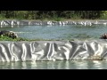 Veracruz Agropecuario - Especial de Cultivo de Tilapia en Plan del Río