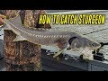 How To Fish Sturgeon, In Depth Tutorial For SUCCESS. (FISH ON!)