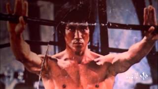 Karate Tigris Nincs Irgalom