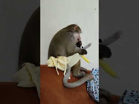 Для хорошего настроения 😁