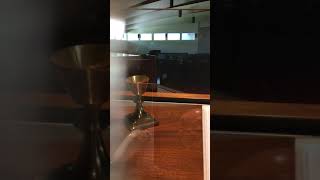 IMG 2245
