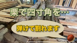 栗の製材、伐採の時も注意が必要です。