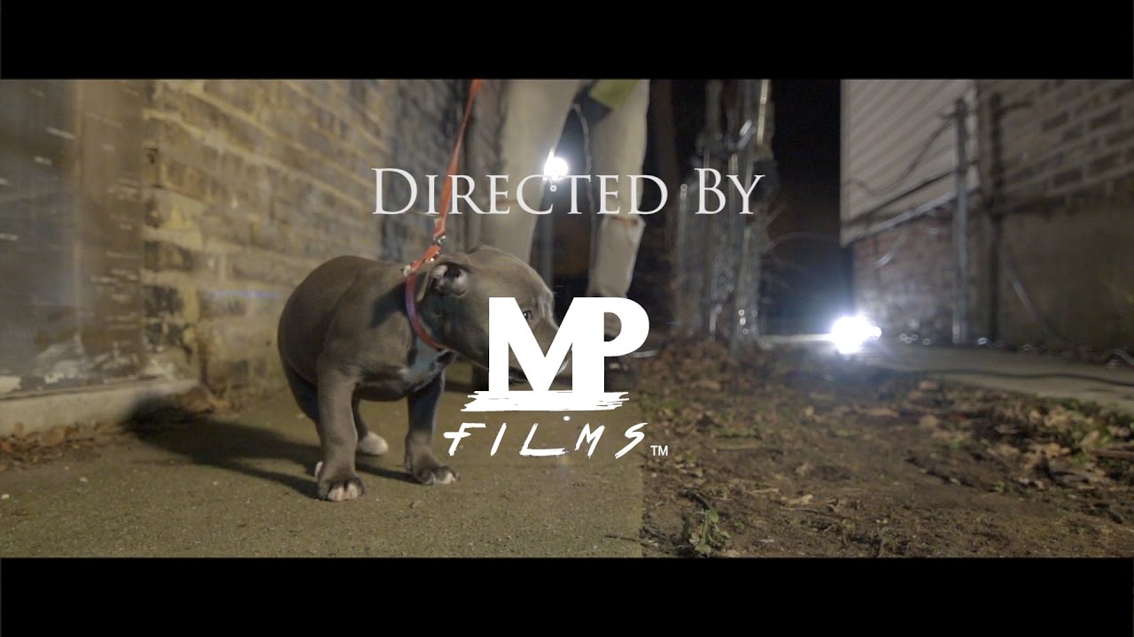Guarda MBK Twins - Ima Dog (Official Video) Directed by @matt__phipps su YouTube Guarda MBK Twins - Ima Dog (Official Video) Directed by @matt__phipps su YouTube