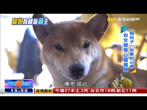 台灣女孩跟風向 「網」住萌寵新商機《海峽拼經濟》 @newsebc