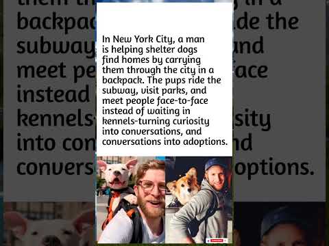 This NYC Man Carries Shelter Dogs in a Backpack to Help Them Get Adopted! 🎒🐶